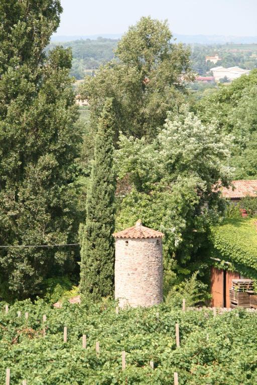 Agriturismo Corte Marzago Salionze Kültér fotó